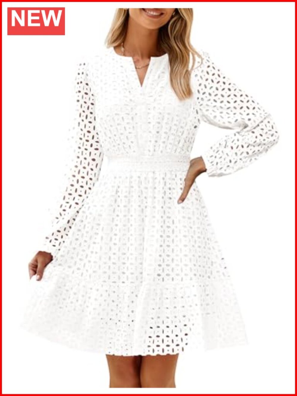 Eyelet Embroidery Puff Sleeve Mini Dress V-Neck Flowy Babydoll
